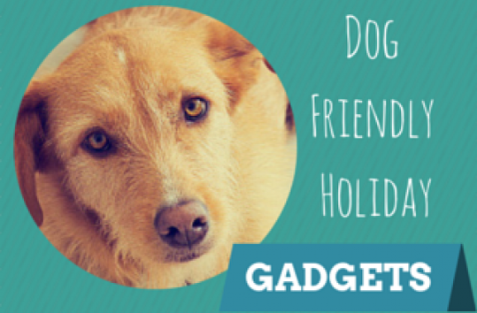 Gadgets for your dog