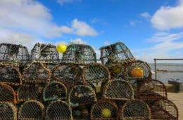 Pile of lobster pots