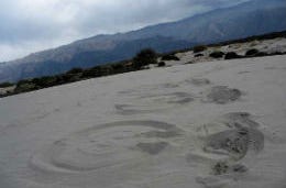 Sand Angels