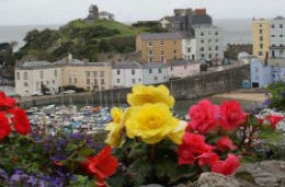 Bright flowers with Tenby coloured houses behind