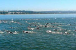 Triathlon Swimmers in the blue sea