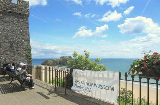 Flowers in Tenby during summer