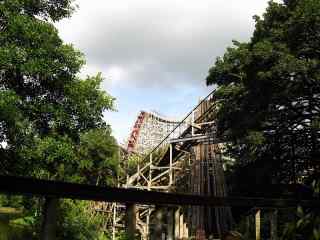 A roller coaster and trees