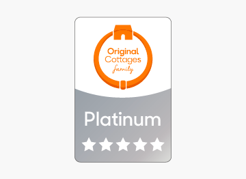 Platinum Award