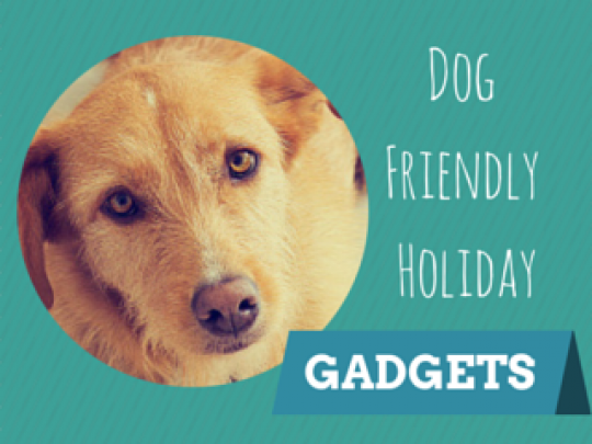 Gadgets for your dog