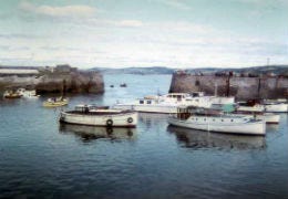 Saundersfoot Harbour