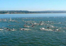 Triathlon Swimmers in the blue sea